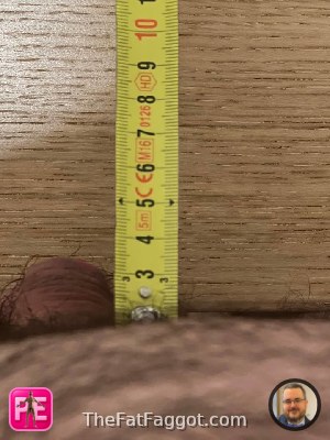 new — The Fat Faggot