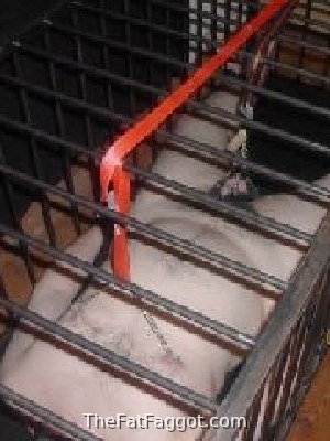 bondage